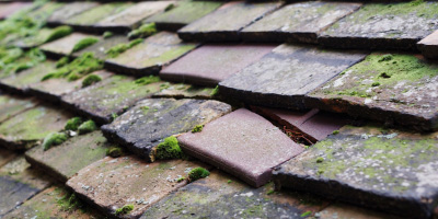 Alway roof repair costs